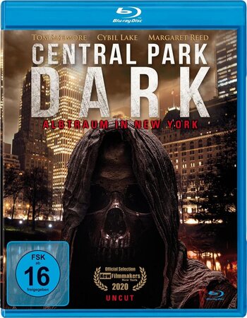 Central Park Dark (2021) 1080p-720p-480p BluRay Hollywood Movie ORG. [Dual Audio] [Hindi or English] x264 ESubs