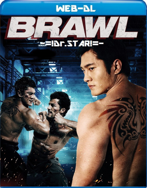 Brawl (2012) 1080p-720p-480p HDRip Hollywood Movie ORG. [Dual Audio] [Hindi or Thai] x264 ESubs